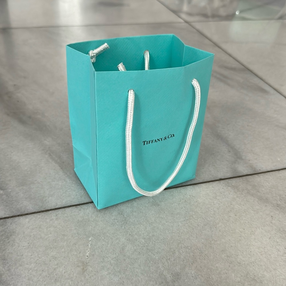 Tiffany&Co. gift bag
